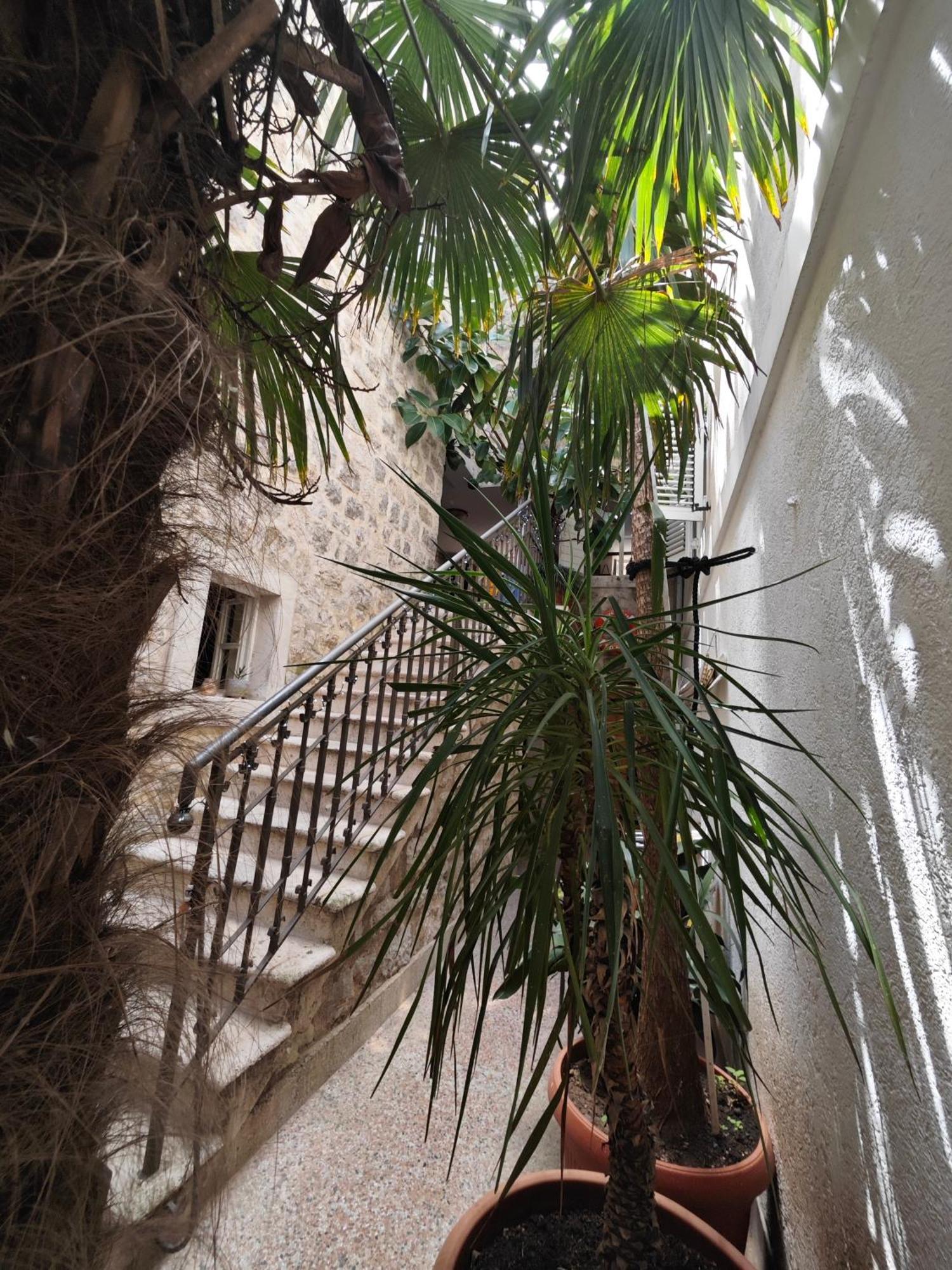 Beatrix Suites Budva Exterior foto